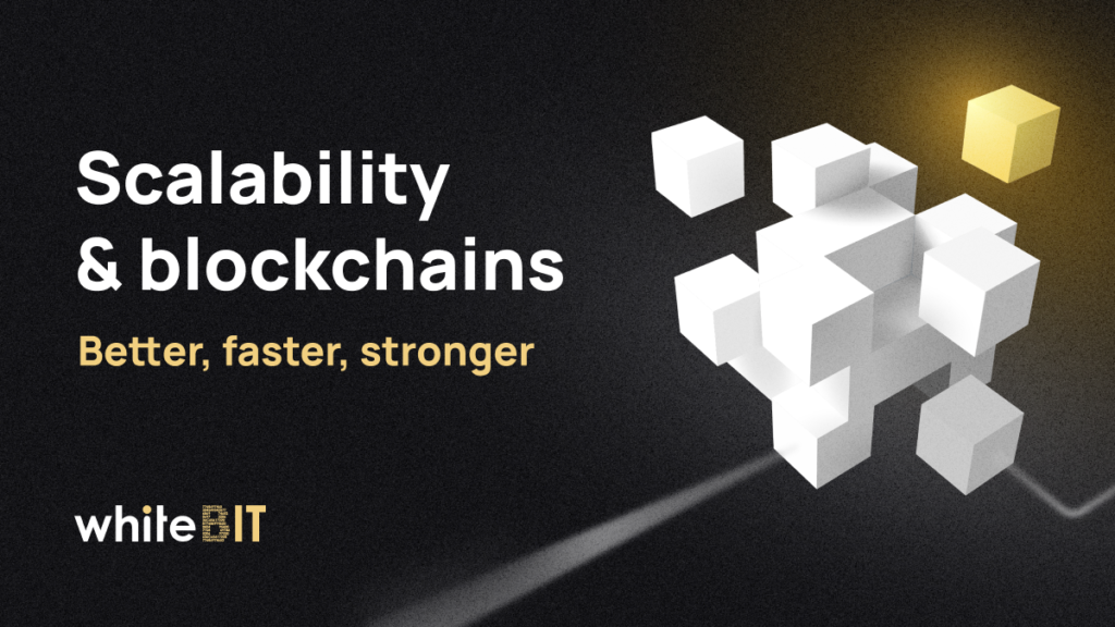 Scalability Wars: How Blockchains Fight for a Place in the Sun