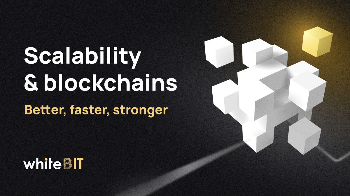 Scalability Wars: How Blockchains Fight for a Place in the Sun