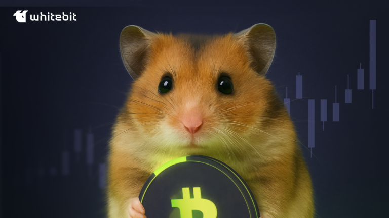 Trading on WhiteBIT for Newbies