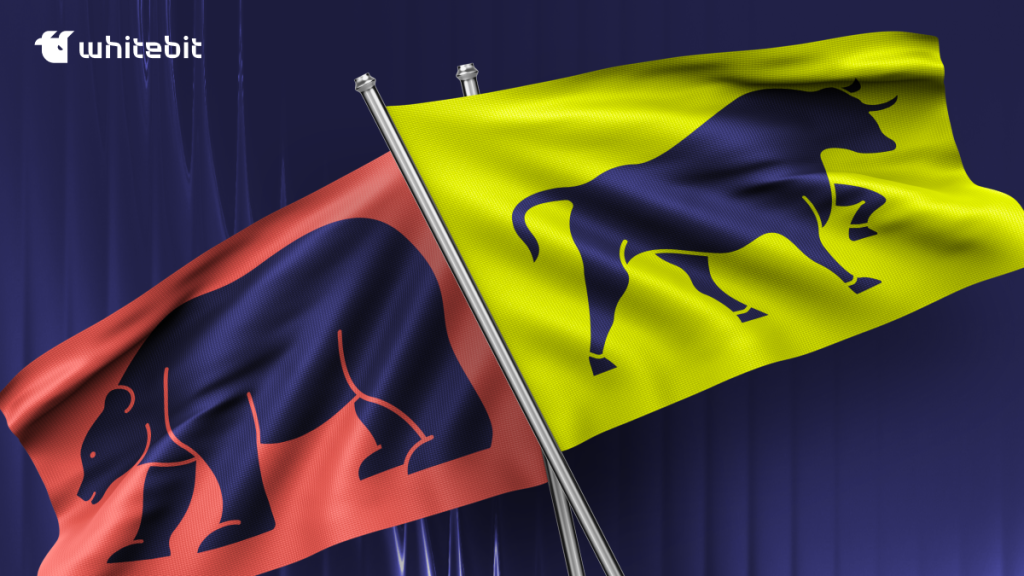 Up or Down: All You Need to Know About Bull and Bear Markets