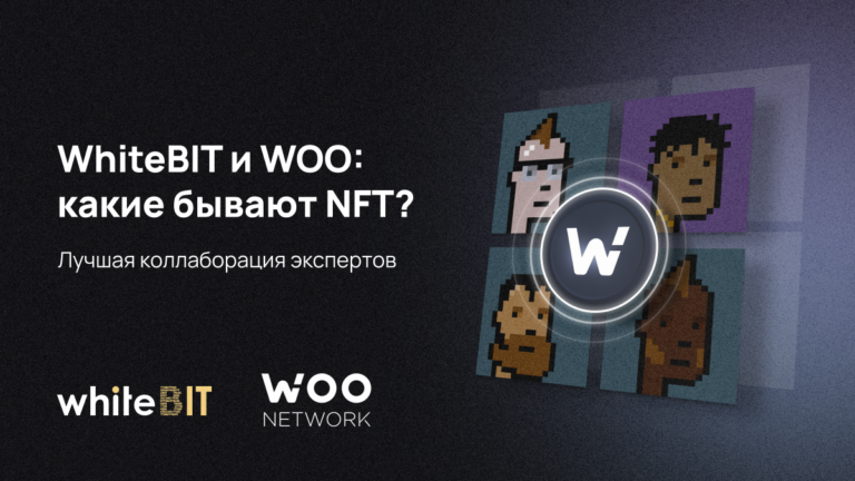 Какие бывают NFT?