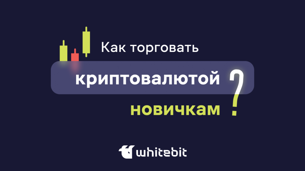 Как торговать криптовалютой новичкам?