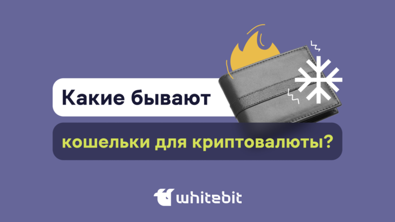 Какие бывают кошельки для криптовалюты?