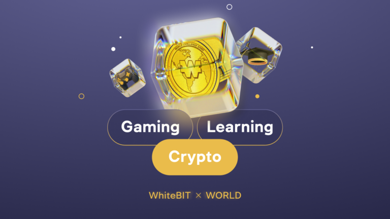 Shaping the Future of Fun and Learning: First Steps into the World Challenge Game