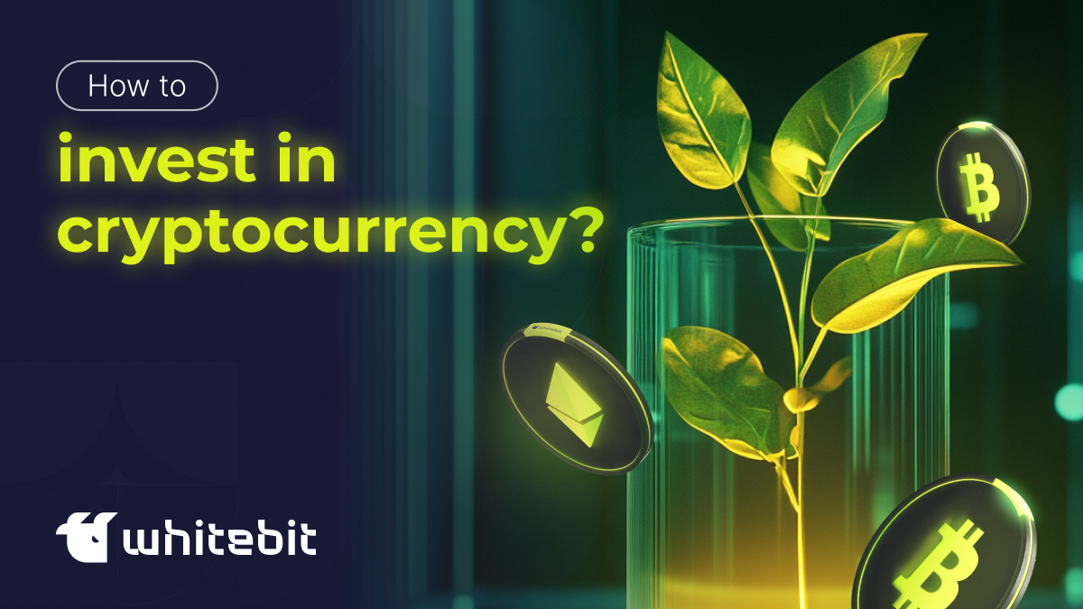 How to Invest in Cryptocurrency: Beginners Guide | WhiteBIT GE Blog