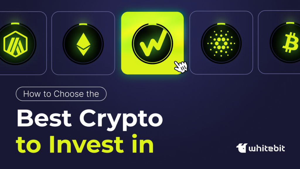Which is the Best Crypto to Buy Now: How to Determine the Future Crypto Gem