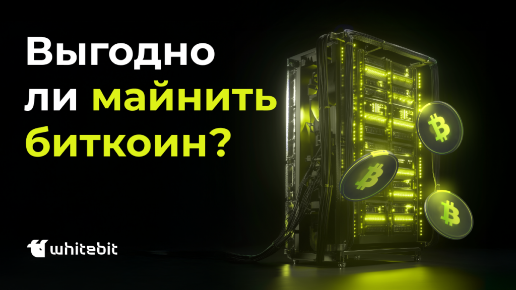 Выгодно ли майнить криптовалюту в 2025 году?